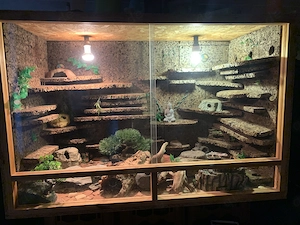 LeopardGecko Terrarium 