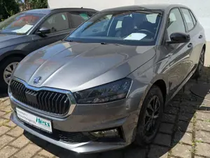 Skoda Fabia Young Edition LED*EINPARKHILFE*RÜCKFAHRKAMERA