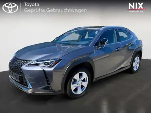 Lexus UX 300e Komfort+Executive Paket LED