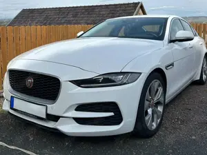 Jaguar XE XE P250 Aut. R-Dynamic HSE