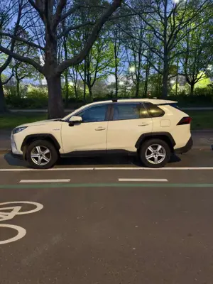 Toyota RAV4 Hybrid 4x2 Business Edition