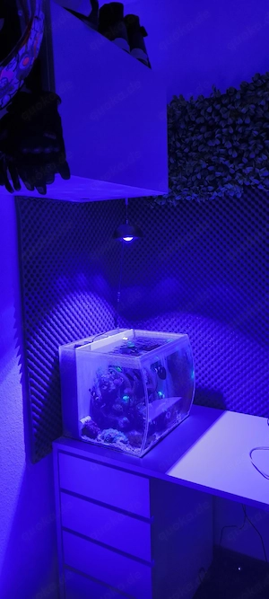 Meerwasseraquarium Fluval Flex