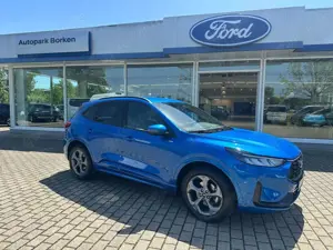 Ford Kuga Bild 3