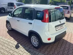 Fiat Panda Hyb. 1.0 GSE Bluetooth, Einparkh. Bild 4