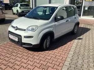 Fiat Panda Hyb. 1.0 GSE Bluetooth, Einparkh. Bild 3