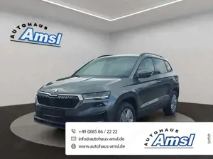 Skoda Karoq 2.0 TDI DSG Selection 4x4  *AHK*4Jahre Garantie*