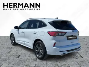Ford Kuga Bild 3
