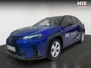 Lexus UX 300h 2.0 Hybrid F-Sport Design Two-Tone