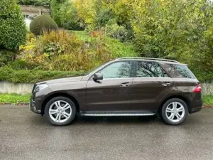 Mercedes-Benz ML 350 ML 350 BlueTEC 4MATIC 7G-TRONIC