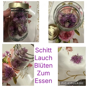essbare Schnittlauchblüten 