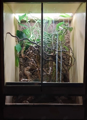 Hochterrarium ca. 60x60x90 (LxTxH)