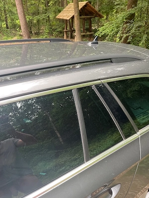 16-17Uhr Nackt am Waldparkplatz B470 Spontanes zeigfreudiges Luder für Spaziergang gesucht