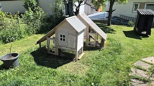 Zwei liebe Hasen suchen neues Zuhause 