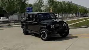 BAW 212 Pickup
