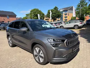 Skoda Kodiaq 2.0TDI 4x4 Selection Navi AHK Pano Matrix