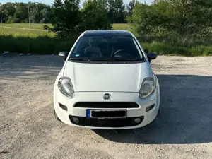 Fiat Punto Young
