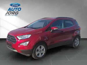 Ford EcoSport Titanium 1.0 EcoBoost *AHK *8-fach Bereift