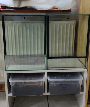 2x Terrarium L30 x B30 x H40 doppelbelüftung
