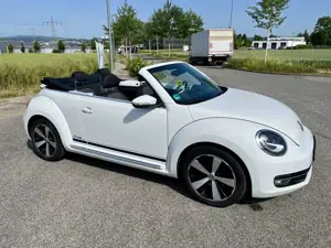Volkswagen Beetle Cup BMT
