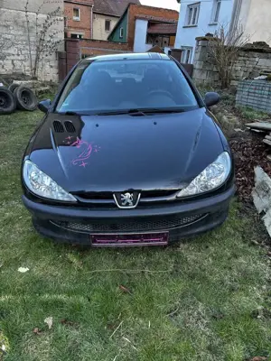 Peugeot 206 Grand Filou Cool