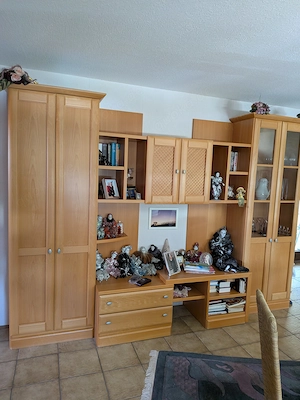 Wohnwand variabel und geräumig