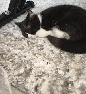 Liebes BKH Mädchen 