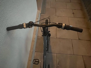 E-Bike Falter E8.8 Bild 3
