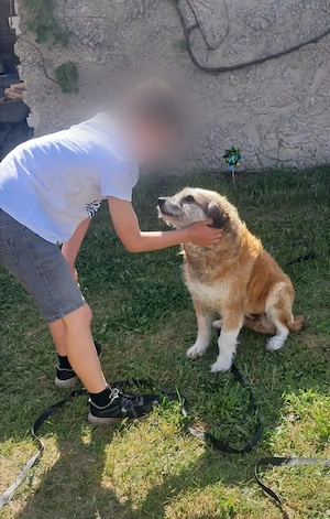Verschmuste Bessy sucht relaxtes Zuhause