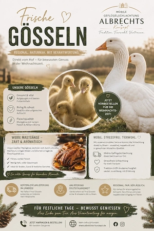 Gösseln zu Verkaufen 