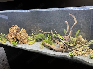 Juwel Rio 240 L Aquarium 