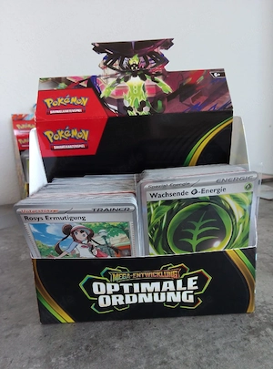 Pokémon optimale Ordnung Bulk 
