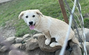 Hübsche Stella sucht Familie