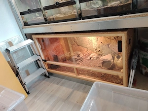 OSB Holzterrarium 