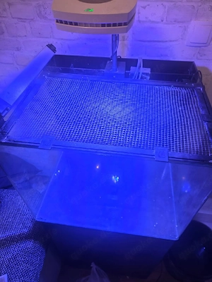 Meerwasseraquarium Blue marine reef 90 mit Technik  Bild 3