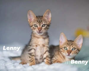 Benny & Lenny Dreamteam sucht spannende Spielwiese.