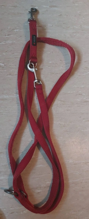 Hundezubehör 