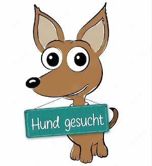    Kleiner Begleiter gesucht