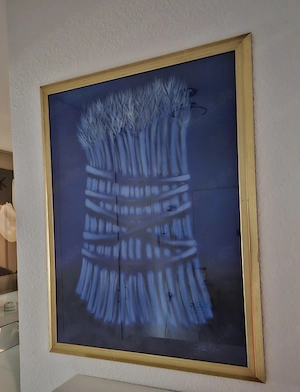 Bild blaue Ähren 