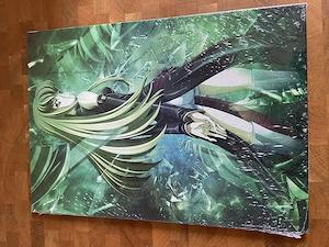 Pc Case; Grafikkarte, Gaming Maus und Displates (Metallposter) zu verkaufen