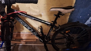 Gnstige Fahrrder in Recklinghausen: Fahrrad gebraucht kaufen & verkaufen