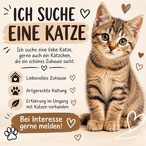 Suche eine weibliche Katze