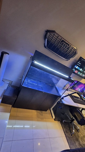Juwel Aquarium neuwertig 