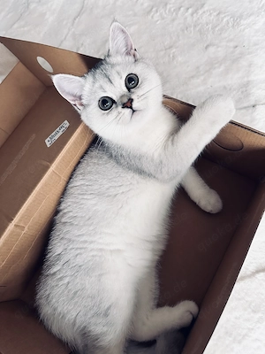 Hallo, ich bin Mika!  
