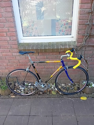 Giant Cadex