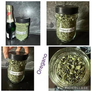 getrockentes Oregano 