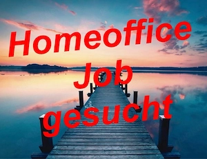Nebenjob   Homeoffice gesucht 
