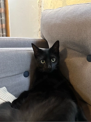 lilly 1 jahre alt 