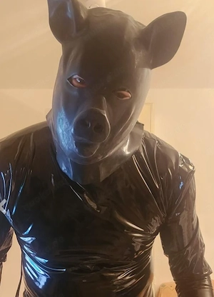 Suche CBT und Ballbusting