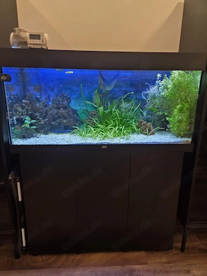Juwel Aquarium 180 Liter mit Unterschrank, Wasserfilter und CO -Anlage