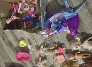 Barbies mit Zubehör 